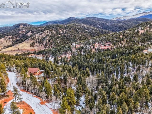 1181 Calcite Drive, Divide, CO 80814
