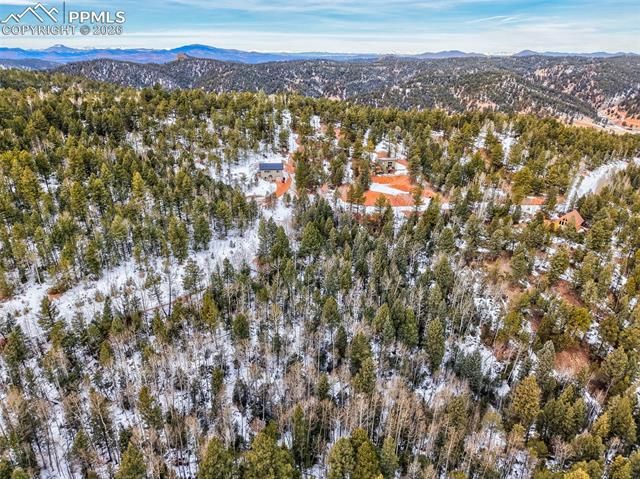 1181 Calcite Drive, Divide, CO 80814
