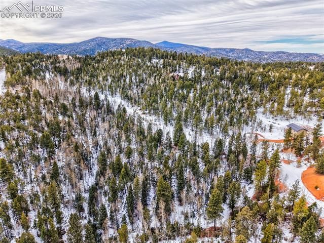 1181 Calcite Drive, Divide, CO 80814