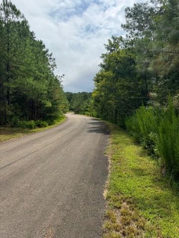 LT 43&44 Reece Mountain Road, Ellijay, GA 30536