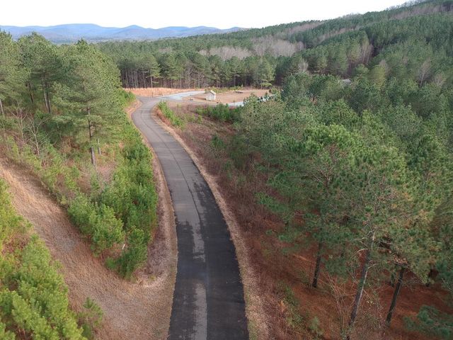 LT 43&44 Reece Mountain Road, Ellijay, GA 30536