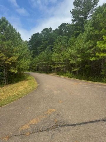 LT 43&44 Reece Mountain Road, Ellijay, GA 30536