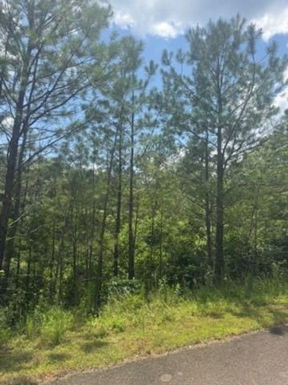 LT 43&44 Reece Mountain Road, Ellijay, GA 30536