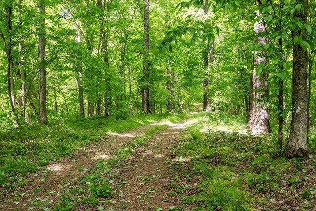 6130 Clydeton Rd, Waverly, TN 37185