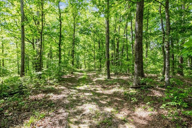6130 Clydeton Rd, Waverly, TN 37185