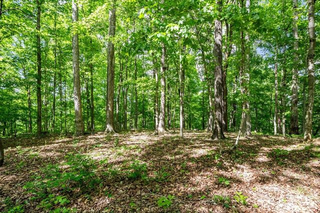 6130 Clydeton Rd, Waverly, TN 37185