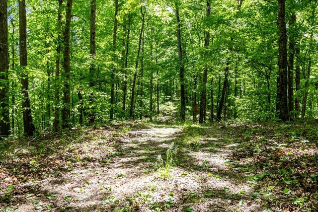 6130 Clydeton Rd, Waverly, TN 37185