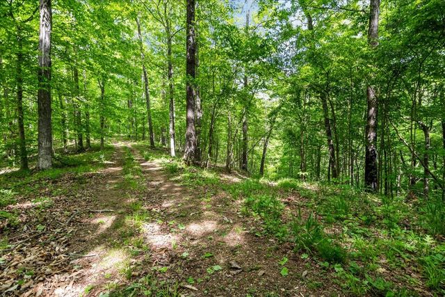 6130 Clydeton Rd, Waverly, TN 37185