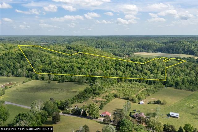 6130 Clydeton Rd, Waverly, TN 37185