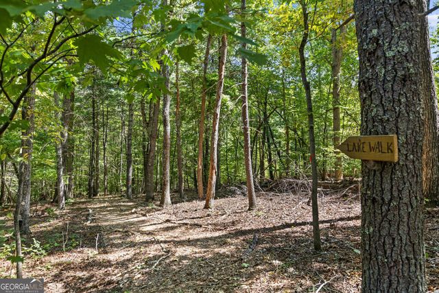 32 Squirrel Trail, Blue Ridge, GA 30513