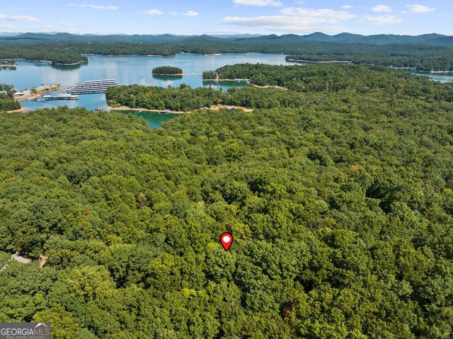 32 Squirrel Trail, Blue Ridge, GA 30513