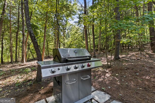 32 Squirrel Trail, Blue Ridge, GA 30513