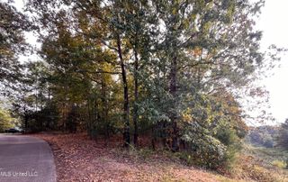 0 Hill Top Road, Ashland, MS 38603