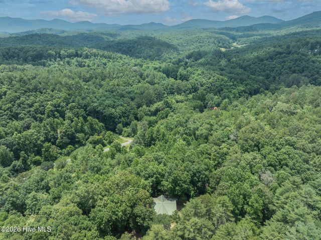 167 Brasstown View, Brasstown, NC 28902