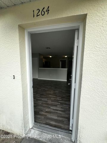 1264 Sylvia Avenue, Spring Hill, FL 34606