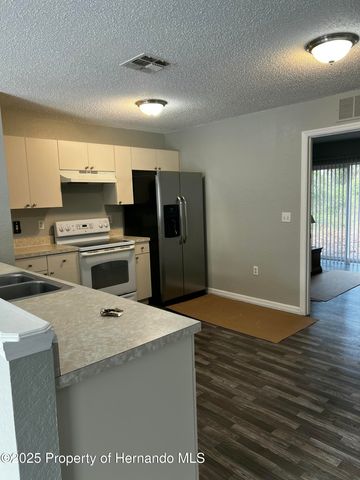 1264 Sylvia Avenue, Spring Hill, FL 34606