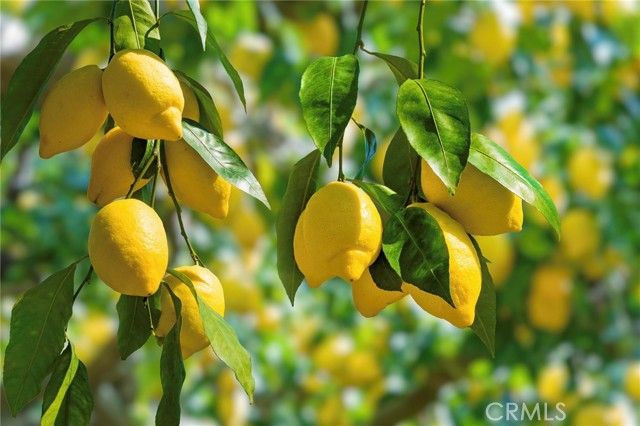 7940 Choi, Riverside, CA 92506