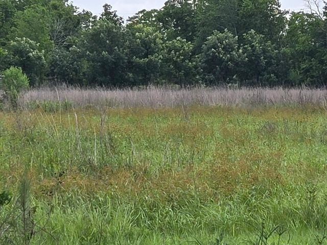 8235 County Road 128, Pearland, TX 77511
