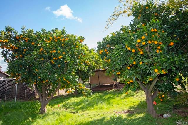 405 Solana Real, Fallbrook, CA 92028