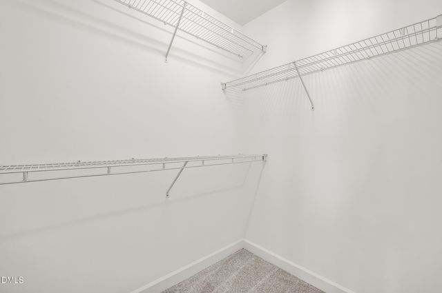 449 Seastone Street, Raleigh, NC 27603