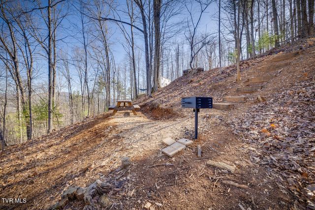 601 Watauga Overlook Drive, Butler, TN 37640