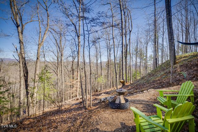 601 Watauga Overlook Drive, Butler, TN 37640