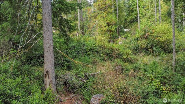 220 E Peebles Court, Shelton, WA 98584