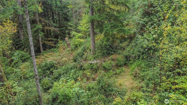 220 E Peebles Court, Shelton, WA 98584