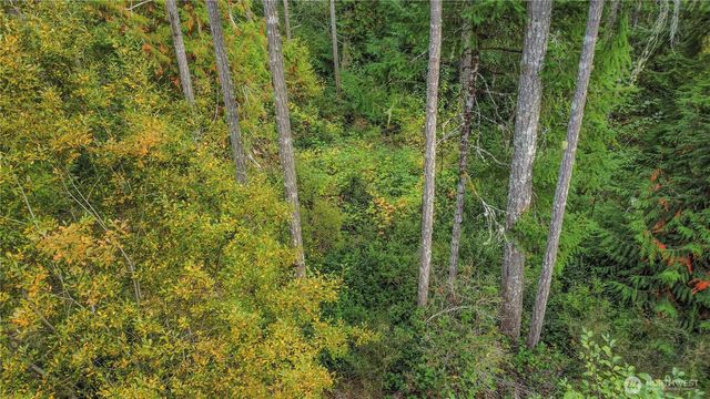 220 E Peebles Court, Shelton, WA 98584