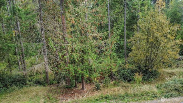 220 E Peebles Court, Shelton, WA 98584