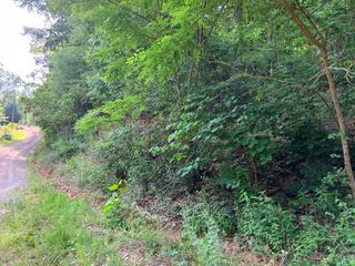 00 Roberts Trail LOT 454, Lake Lure, NC 28746