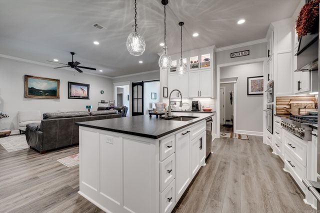 1895 Indigo Cove, Conway, AR 72034