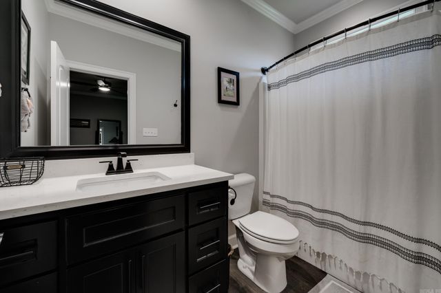 1895 Indigo Cove, Conway, AR 72034