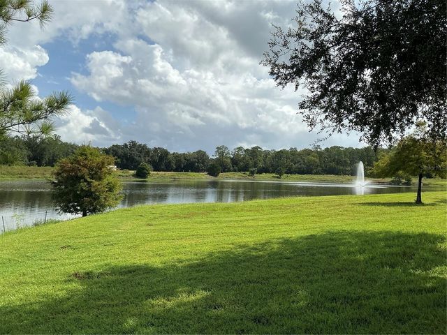 4961 PALL MALL STREET E, Kissimmee, FL 34758