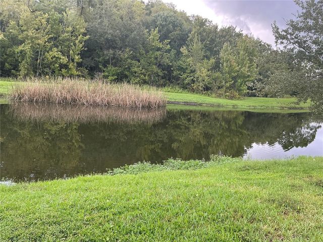4961 PALL MALL STREET E, Kissimmee, FL 34758