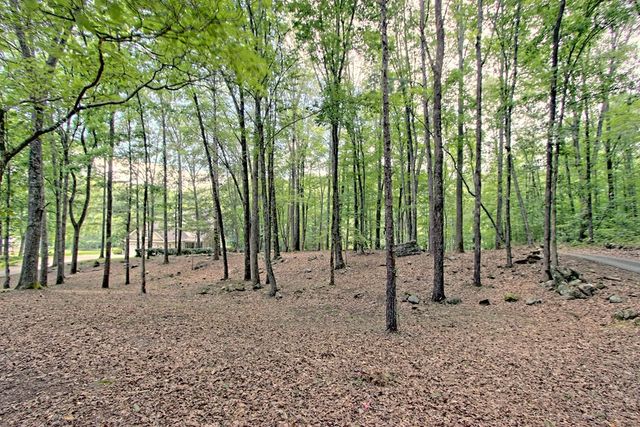 299 Old Homestead Lane, Hayesville, NC 28904