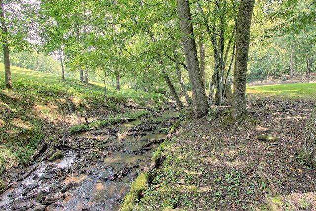 299 Old Homestead Lane, Hayesville, NC 28904