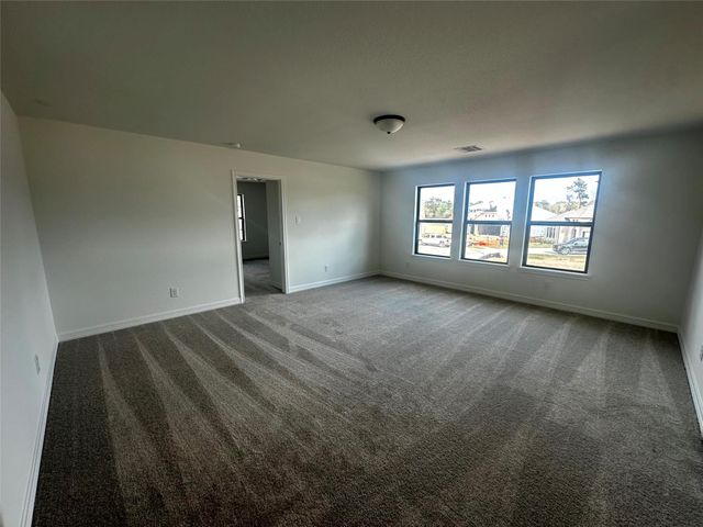 24219 Dewey Trail, Magnolia, TX 77355