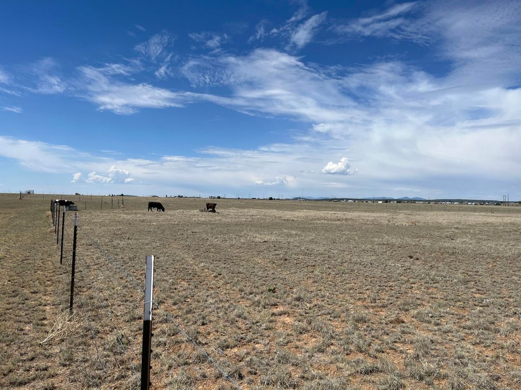 Destiny Drive, Moriarty, NM 87035