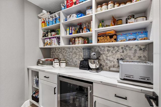 3481 VINAS PLACE, The Villages, FL 32163