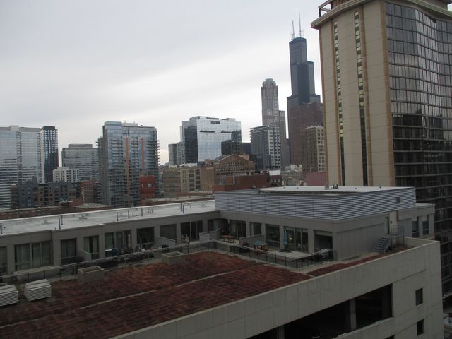 40 E 9TH Street 1310C, Chicago, IL 60605