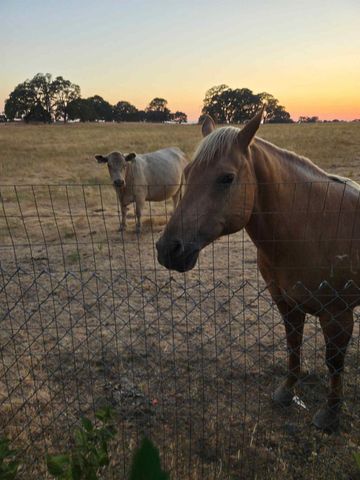 10471 Mariposa Ave, Jackson, CA 95642