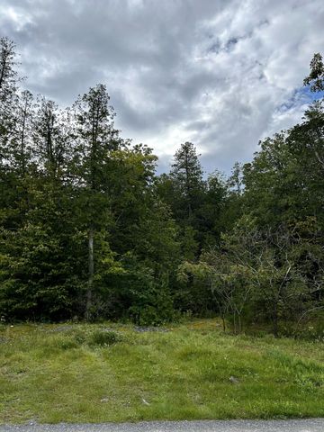 0 Bluff Point Dr Lot 45, Plattsburgh, NY 12901
