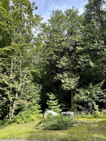 0 Bluff Point Dr Lot 45, Plattsburgh, NY 12901