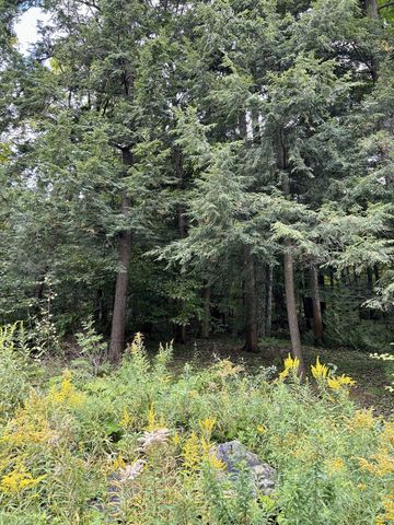 0 Bluff Point Dr Lot 45, Plattsburgh, NY 12901