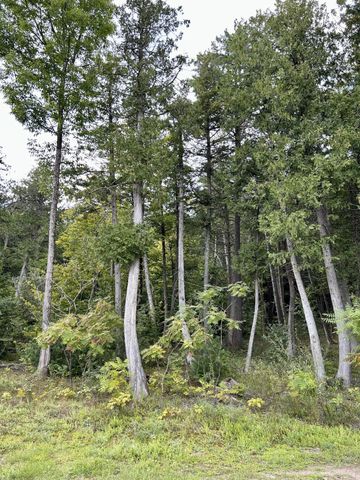 0 Bluff Point Dr Lot 45, Plattsburgh, NY 12901