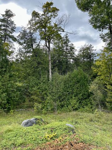 0 Bluff Point Dr Lot 45, Plattsburgh, NY 12901
