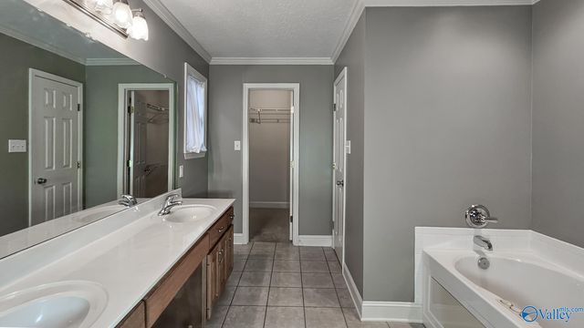 27749 Michael Lane, Toney, AL 35773