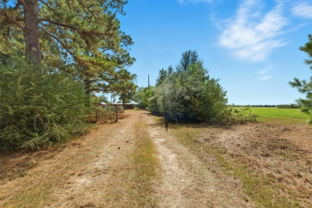 29211 Castle Road, Waller, TX 77484