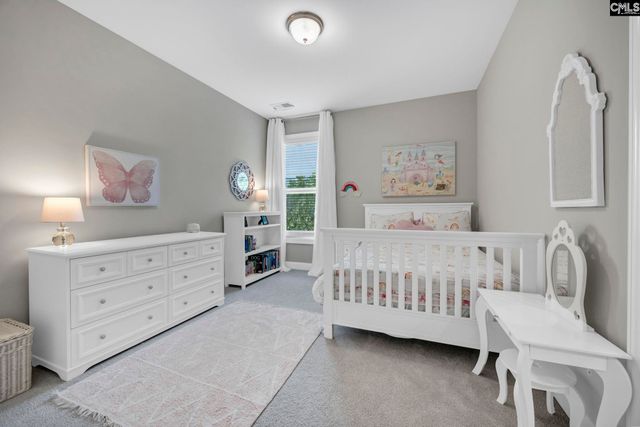 58 Sweetspire Drive, Elgin, SC 29045